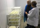 В Подосиновском районе на средства гранта открыли новую сыроварню